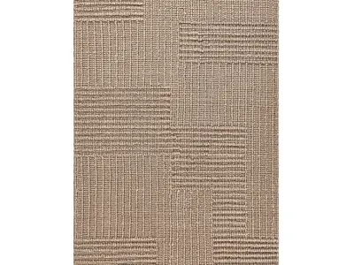 Accent Area Rug 3D model