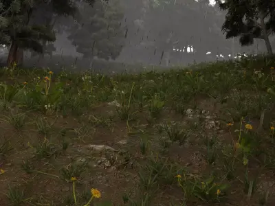 Realistic animated rainy forest 3D model