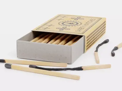 Matchbox with Matches V1 - Unlit and Burned - Custom Design 3D model