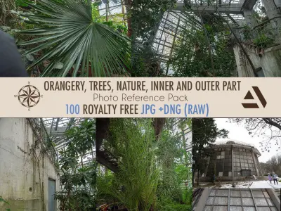 Photo Reference Pack Orangery Trees Nature Semi-Abandoned Texture
