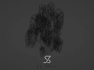 Birch Tree Free low-poly 3D model