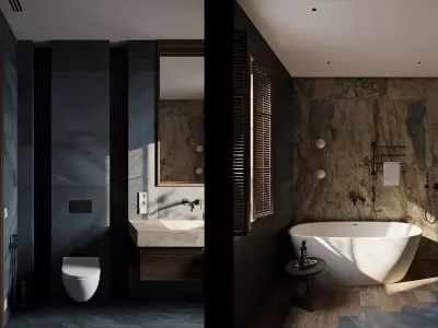 3D Interior Designed Scene of BATHROOM for two person 3D model