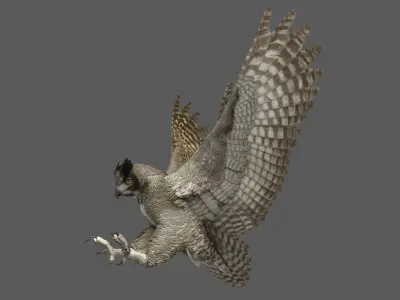  Great Horned Owl Animated 