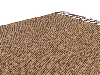 Willow Water Hyacinth Rug 215x150cm RendezVousDeco 3D model