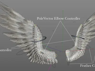  Pair of Bird Wing [C4D] 