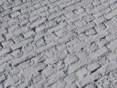 Mossy Old Brick Pavement PBR Texture  Texture