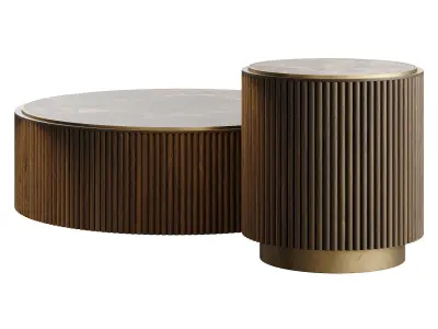 Ana Roque PLUM Coffee Table Low-poly 3D model