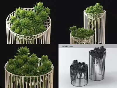 Succulents four metal vases 3D model