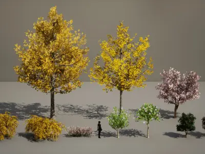PREMIUM PLANT PACK - 10 realistic Korean Street Tree Pack 01 3D model