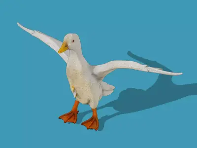 White Duck Low-poly 3D model