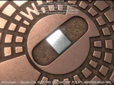 Sewer Cover 3 Hydrant High-Poly 3D model
