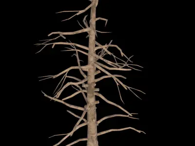 Dead Pine Tree - PBR - Textured Low-poly 3D model