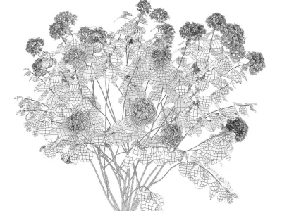 Hydrangea arborescens 03 autumn 3D model