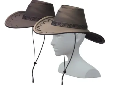 Cartoon High Poly Subdivision Cowboy Hat Low-poly 3D model