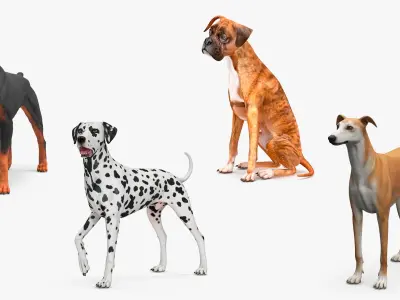  Large Dogs Collection 