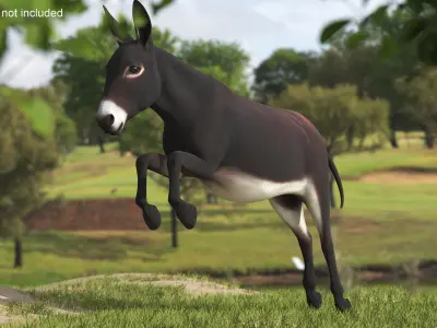  Domestic Donkey Animal Dark Brown Rigged for Maya 