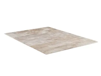 LYRA SILK RUG 3D model