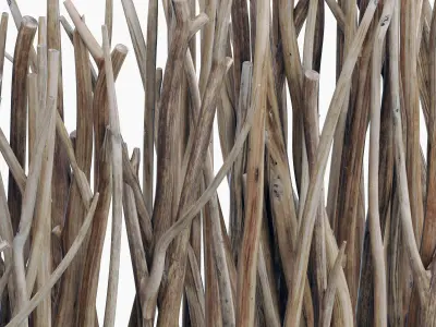 Branch screen sang n1 3D model