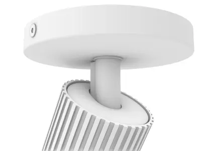 Fluted Light Fixtures - Adjustable Spot light and Wall light  3D model