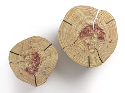 Toc Coffee Tables 3D model