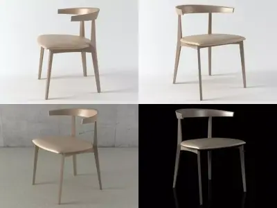 Carola SI 0898 3D model