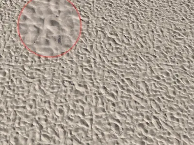 Beach sand Scan 3D model