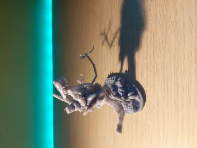 Sci-fi stalker raiders 3D print model