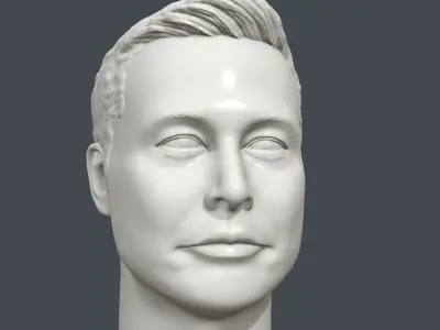 Elon Musk 3D printable portrait sculpture  3D print model