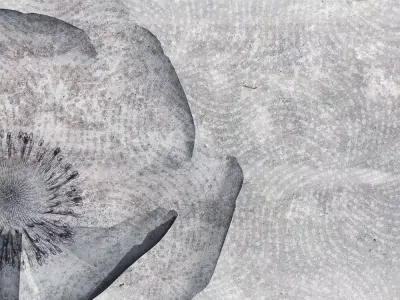 Monochrome Poppy on Concrete Wallpaper Texture  Texture