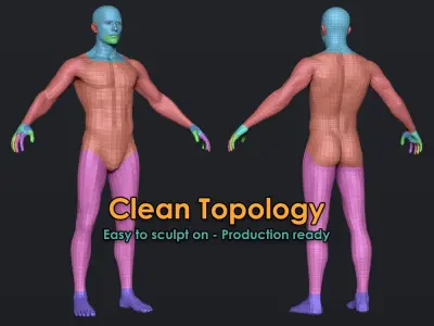 Male Basemesh (low poly) V2