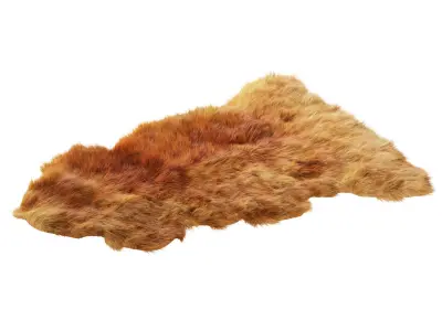 Sheepskin New Zealand 3D model