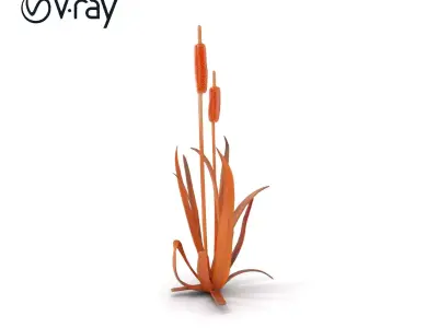 Cattail Plant Model Pack for Environments and Games Low-poly 3D model