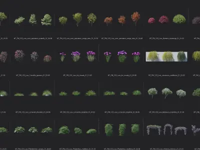 Maxtree Plant Models Vol 23 Low - Mesh 3D model