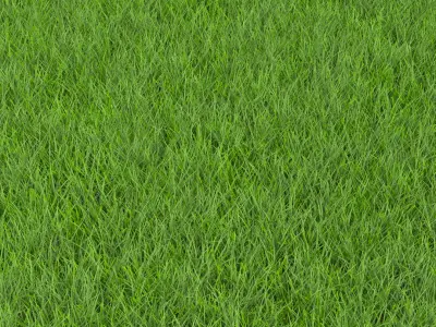 GRASS Low-poly 3D model
