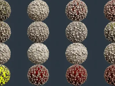 32 Skull Bones Horror Seamless PBR Textures Texture