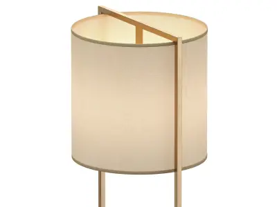 Steeman Floor Lamp 3D model