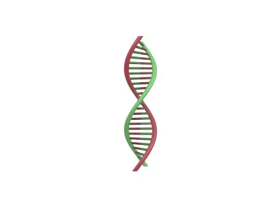 DNA Molecule v1 003 Low-poly 3D model