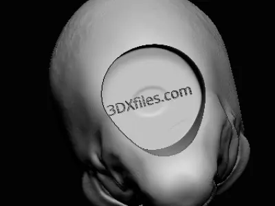 Duros Head Sculpt - Star Wars Action Figure - 3D Print File STL 3D print model