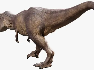  Tyrannosaurus Rex 