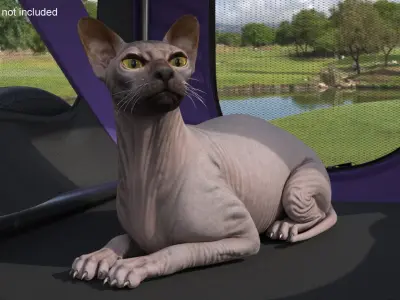  Bicycle Pet Trailer Violet with Sphynx 