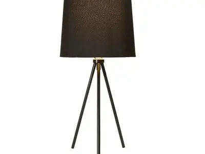 Dunneback Contemporary Tripod Table Lamp Free 3D model