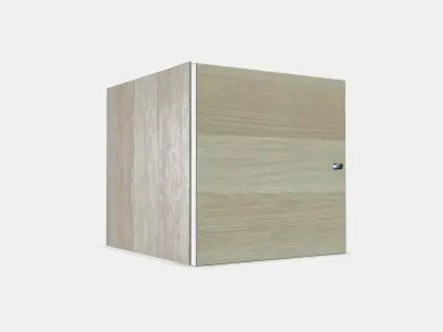 KALLAX Insert with door 1 Low-poly 3D model