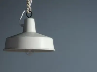Painted Rustic Pendant 3D model