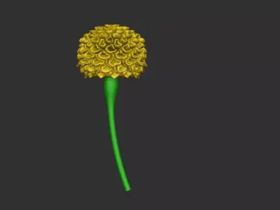 Gold Flower 3D print model