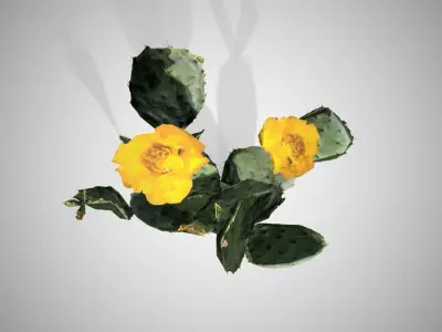 Prickly Pear Cactus Tree Low-poly 3D model