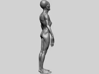 Creature Body Form H Free 3D model