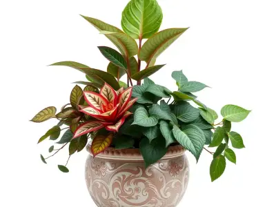 Elegant Floral Pottery model pack Low-poly 3D model