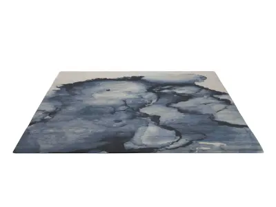  Cove RUG 3D model