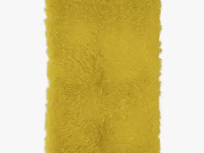 Collection of carpets and skins with wool of 20 pieces 3D Model Pack