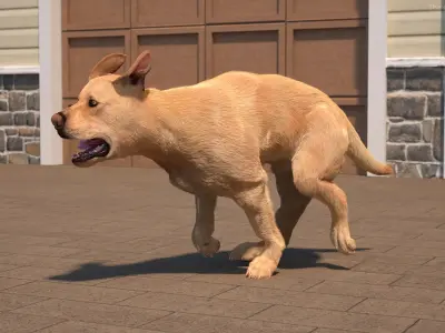  Running White Retriever Dog Fur Animated Rigged 